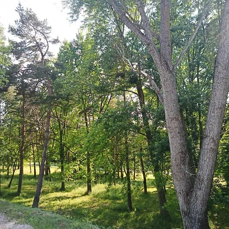 Guest house Josephus Vendeghaz