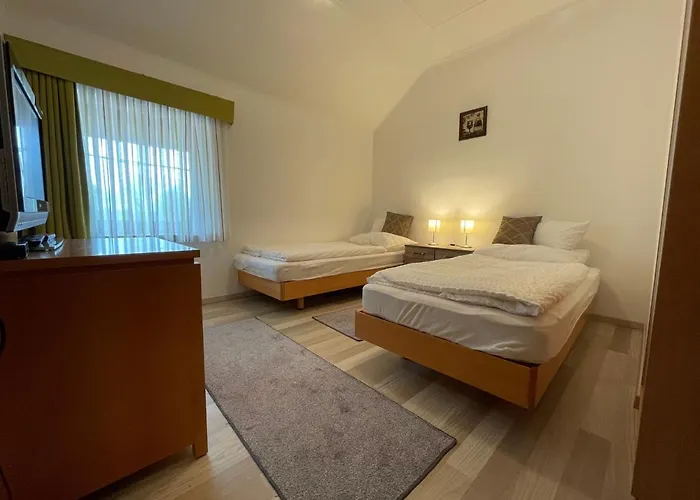 Josephus Vendeghaz Guest house 4*