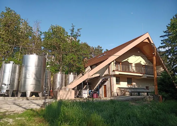 בית הארחה Josephus Vendeghaz Kotcse