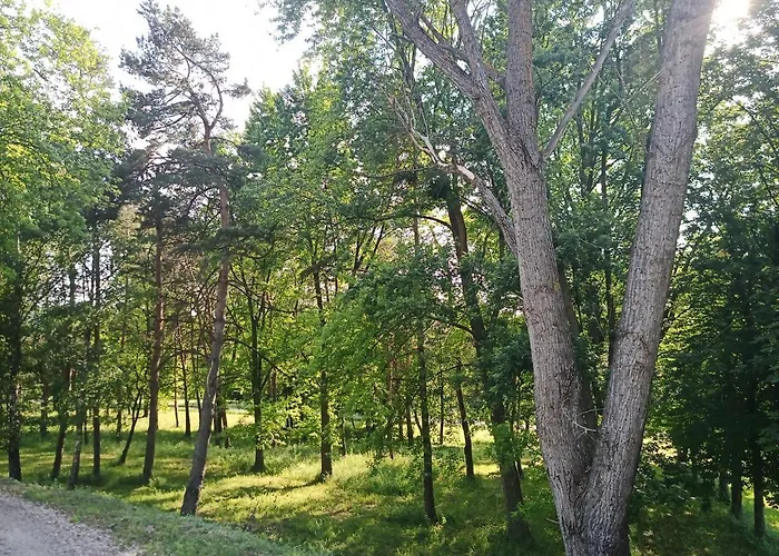 Guest house Josephus Vendeghaz